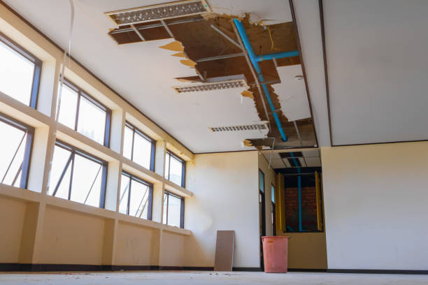 Best Carpet water damage restoration  in Minerva Park, OH