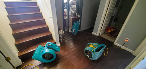  Minerva Park, OH Water damage restoration Pros