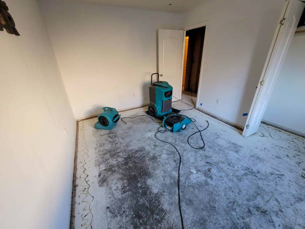 Best 24/7 water damage repair  in Minerva Park, OH