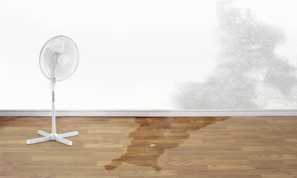 Sewage cleanup and water damage restoration in Minerva Park, OH
