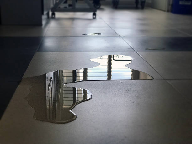 Best Water damage cleanup near me  in Minerva Park, OH