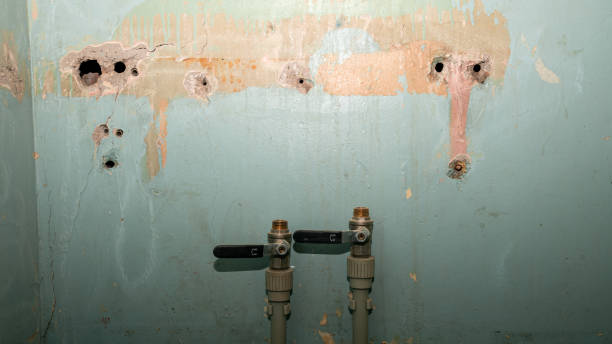 Best Sewage cleanup and water damage restoration  in Minerva Park, OH