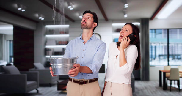 Carpet water damage restoration in Minerva Park, OH