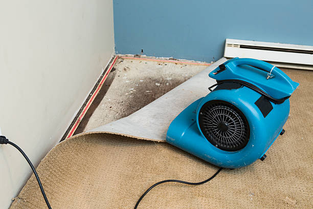 Best Flooded house restoration  in Minerva Park, OH